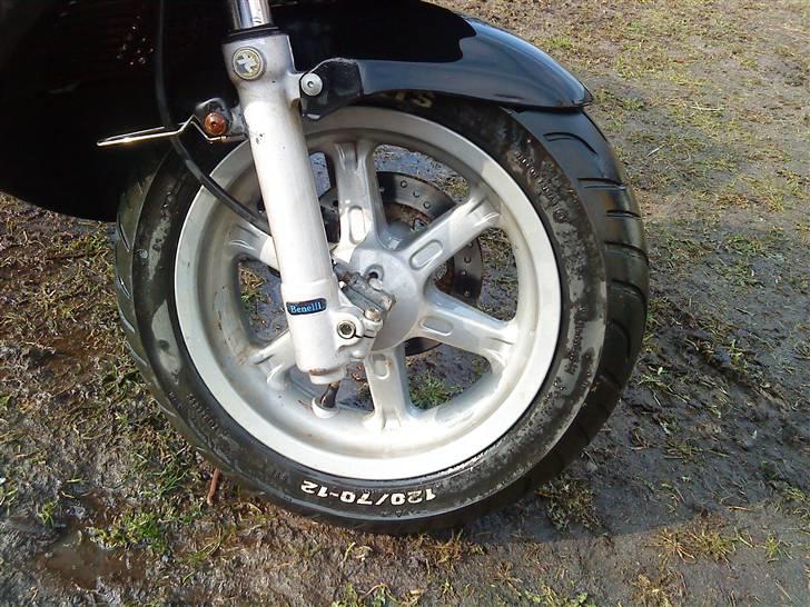 Benelli 491!.. billede 10