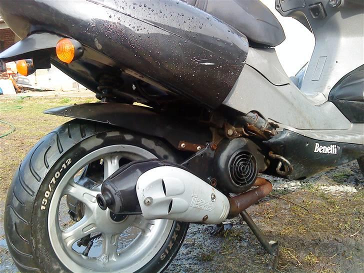 Benelli 491!.. billede 11