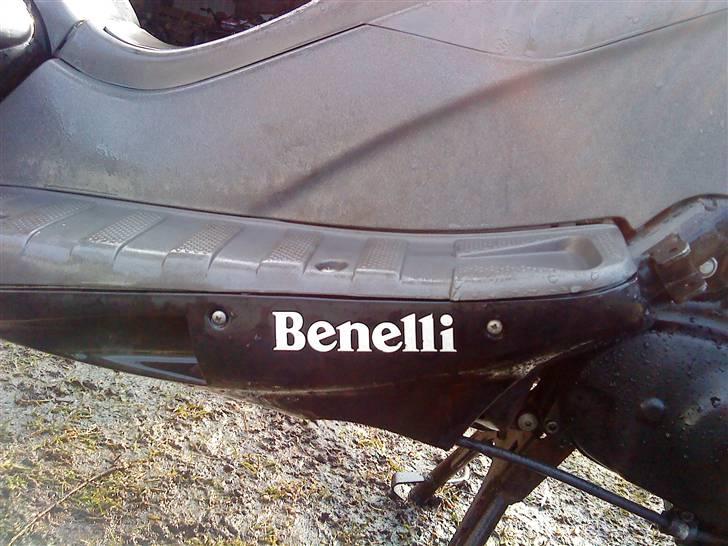 Benelli 491!.. billede 13