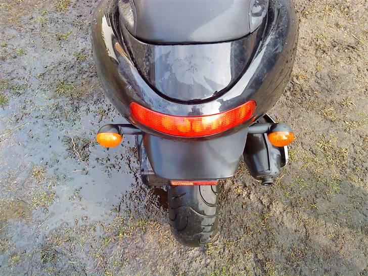 Benelli 491!.. billede 15