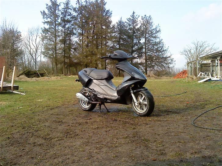 Benelli 491!.. billede 16