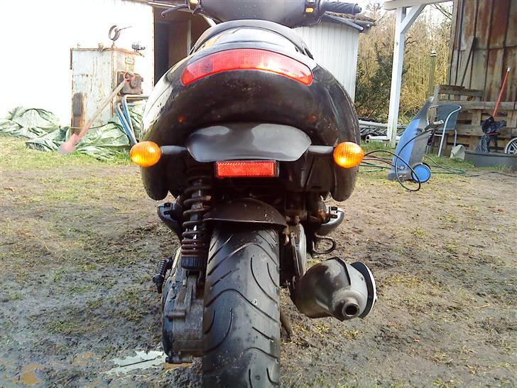 Benelli 491!.. billede 18