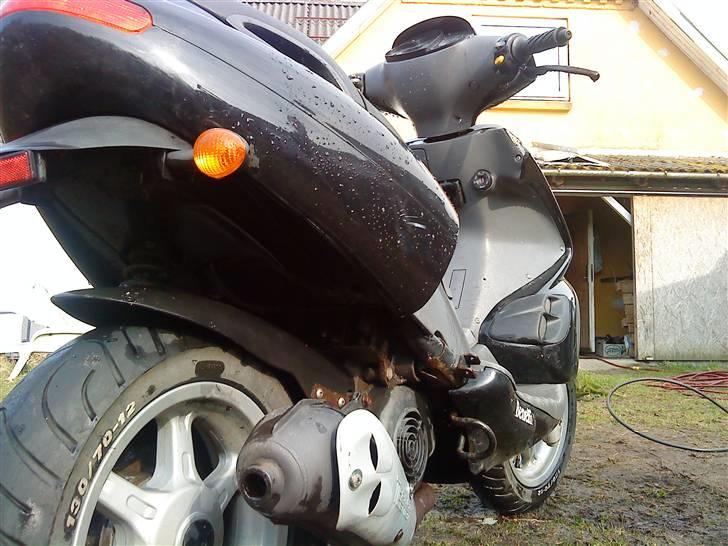 Benelli 491!.. billede 19