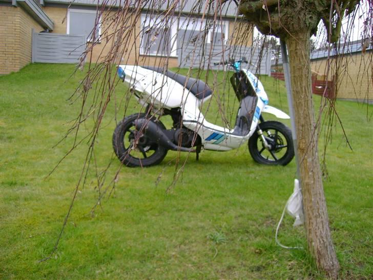 Aprilia Rally/Sr DD/ B sonic 2003 billede 7