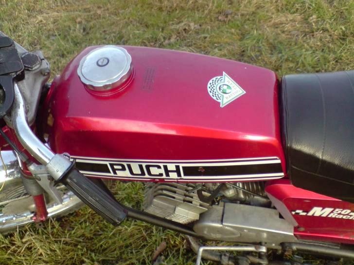 Puch Puch m50 racing (solgt) billede 3