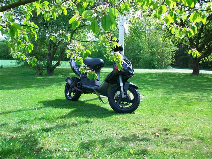 Piaggio NRG MC3 ~ Byttet! billede 8