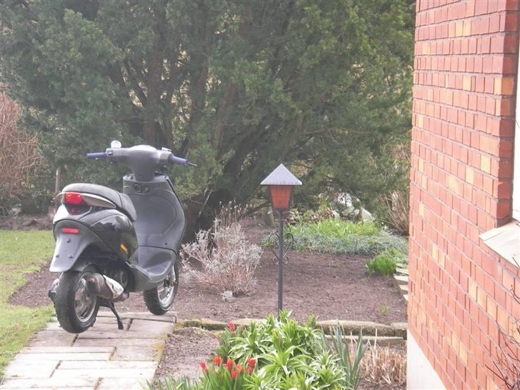 Piaggio New zip SOLGT billede 1