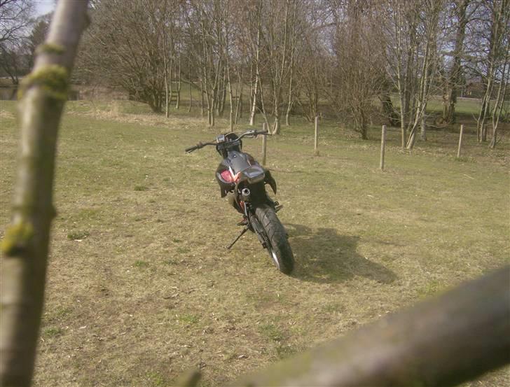 Gilera Smt billede 7