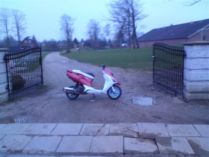 Honda sfx byttet til sonic billede 2