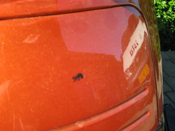 PGO Hot 50 Stjålet :( billede 4