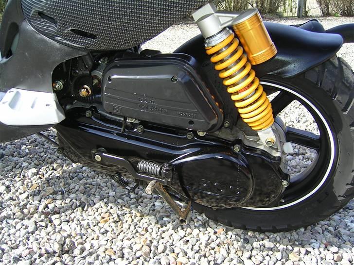 PGO Pmx Naked Carbon billede 18