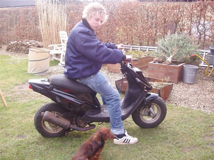 PGO hot50 - Genial fotograf xD! billede 14