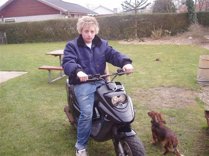 PGO hot50 billede 15