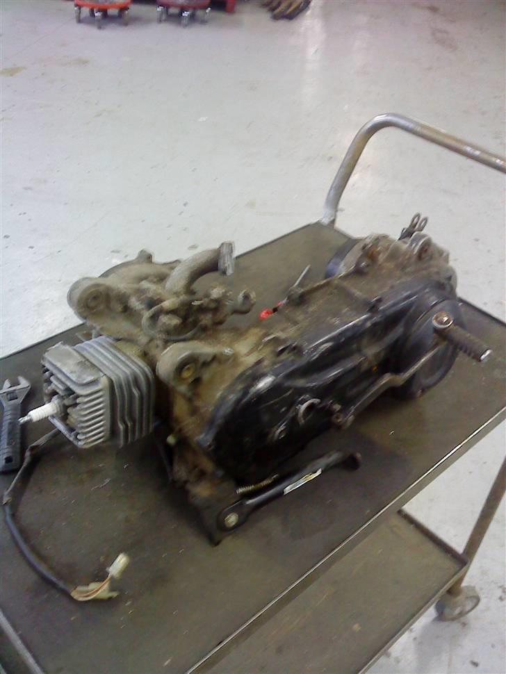 Suzuki magic billede 3