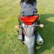 Giantco Stealth SMADRET!!!