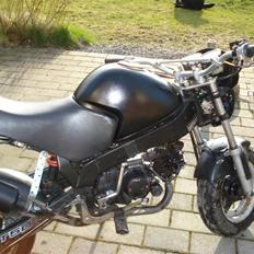 Skyteam Pbr byttet til Jog