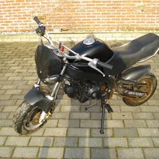 Skyteam Pbr byttet til Jog