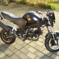 Skyteam Pbr byttet til Jog