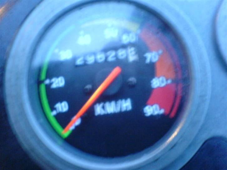 Kreidler easy rider bytted til hot billede 5