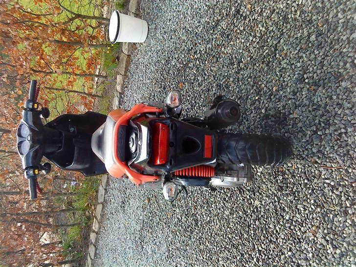 PGO PMX Sport - solgt billede 7