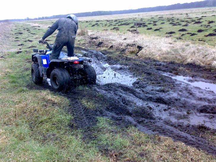 Suzuki aeon cobra (solgt) billede 6