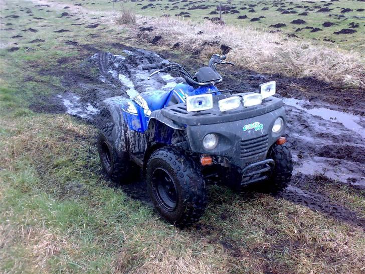 Suzuki aeon cobra (solgt) billede 7