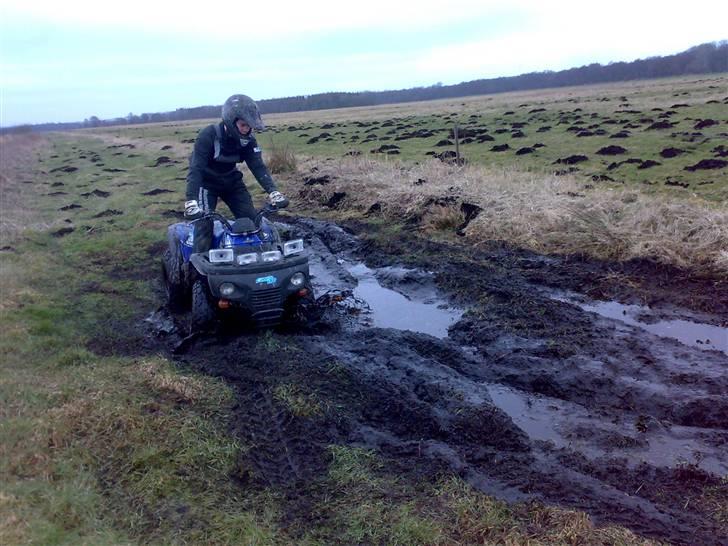 Suzuki aeon cobra (solgt) billede 8