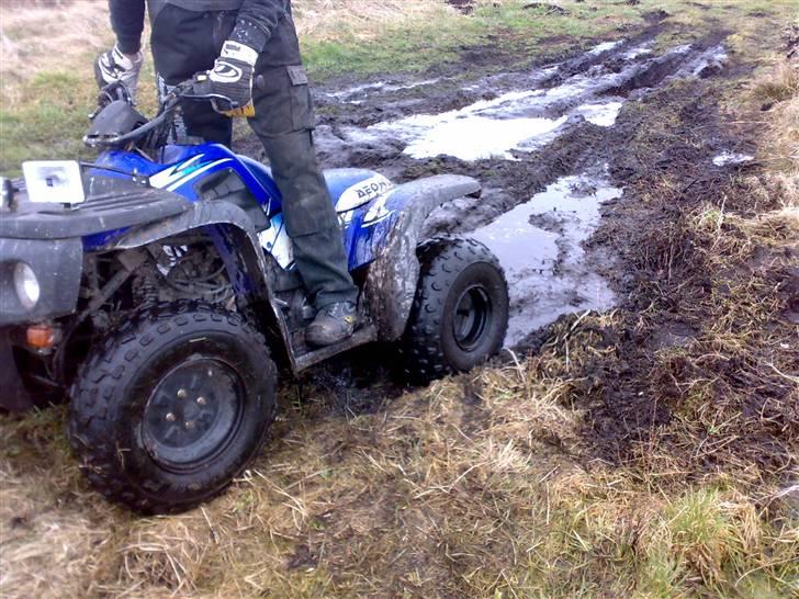 Suzuki aeon cobra (solgt) billede 9