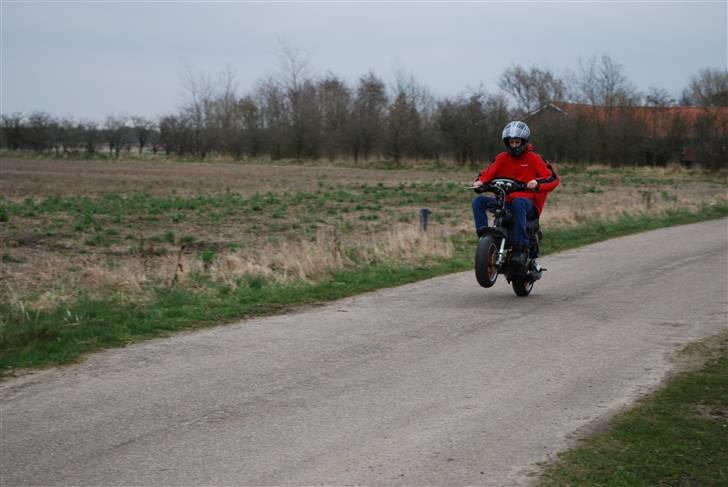 Piaggio NRG :( - Foto : Daniel Pind Schmidt  billede 15