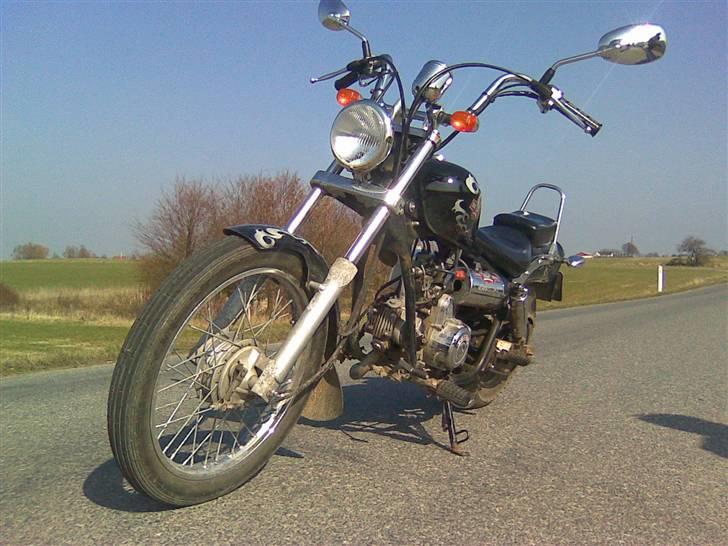 Regal raptor billede 1