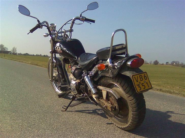 Regal raptor billede 2