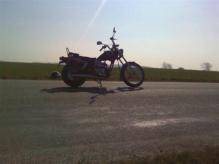 Regal raptor billede 3