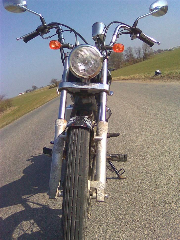 Regal raptor billede 4