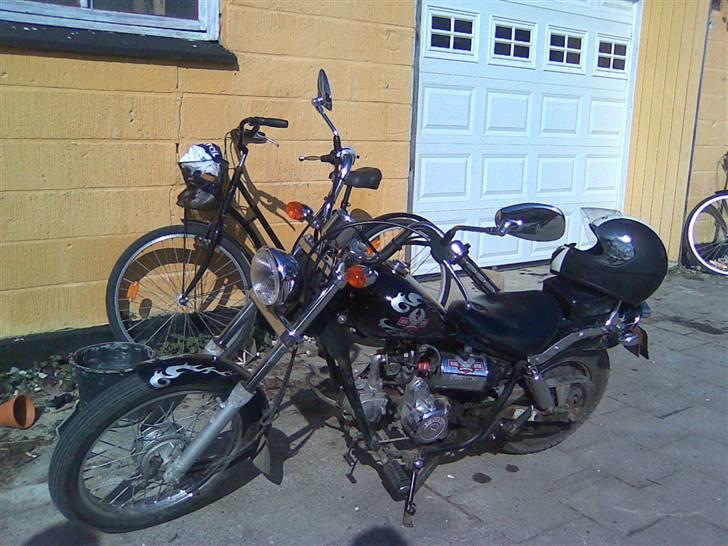 Regal raptor billede 5