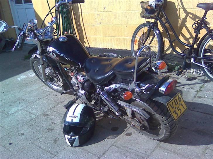 Regal raptor billede 6