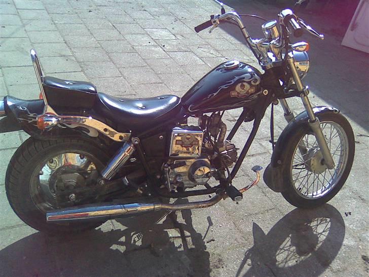 Regal raptor billede 7