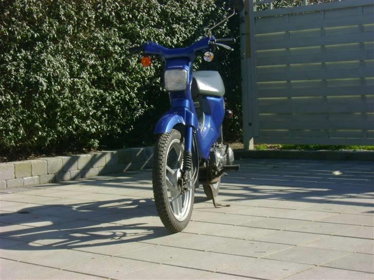 Honda Wallaro SOLGT billede 1