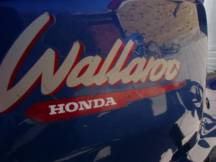 Honda Wallaro SOLGT billede 3
