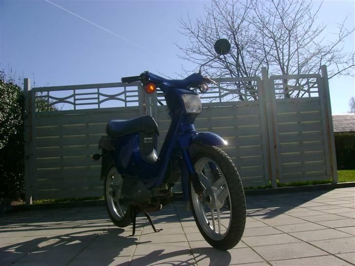 Honda Wallaro SOLGT billede 4