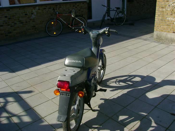 Honda Wallaro SOLGT billede 5