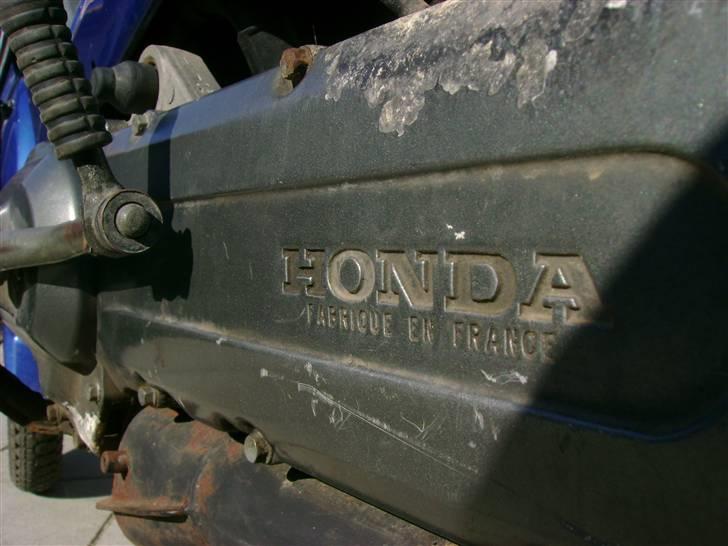 Honda Wallaro SOLGT billede 6