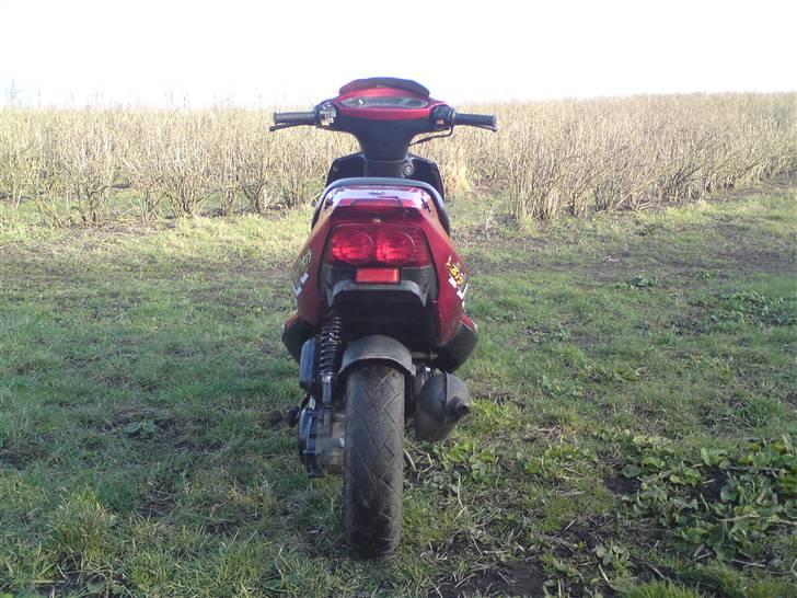 PGO Dr.Big billede 5