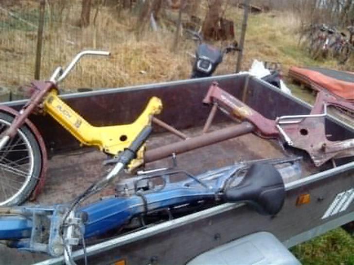 Puch Tan-Max ''DØD'' billede 3