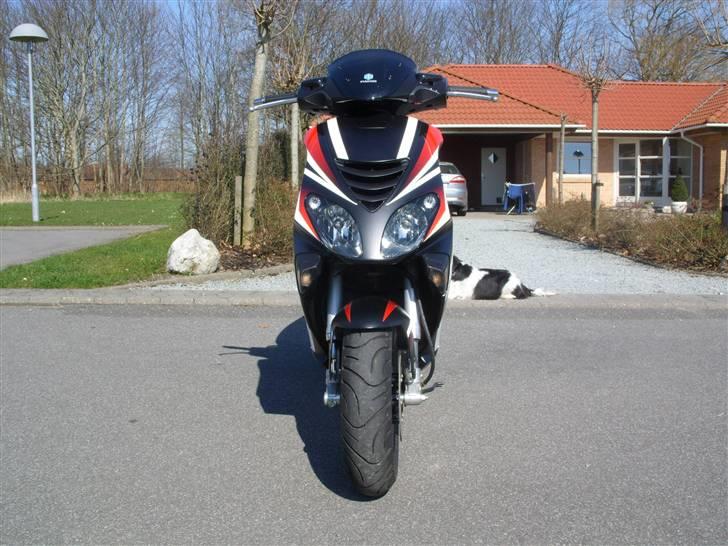 Piaggio NRG Power DT billede 5