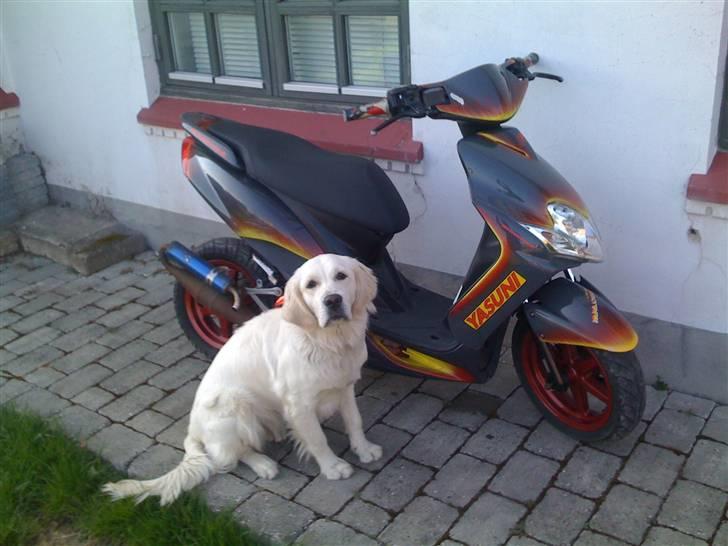 Yamaha JOG R Airbrush SOLGT! - taget den 3/4 2009 billede 10