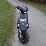 Gilera stalker