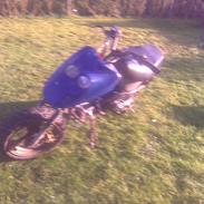 Adly cat 50 projekt solgt