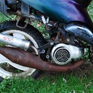 Adly Ariva TIL SALG.