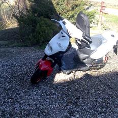 PGO nofear(bytte til rcr)