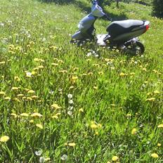 Yamaha JOG R SOLGT :´(